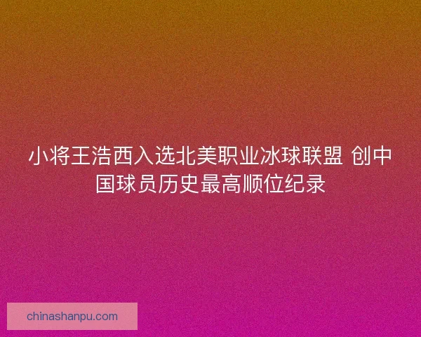 小将王浩西入选北美职业冰球联盟 创中国球员历史最高顺位纪录 小将王浩西入选北美职业冰球联盟 创中国球员历史最高顺位纪录