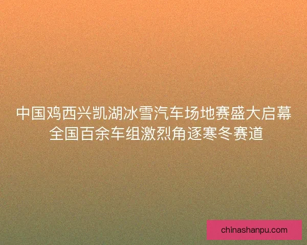中国鸡西兴凯湖冰雪汽车场地赛盛大启幕 全国百余车组激烈角逐寒冬赛道